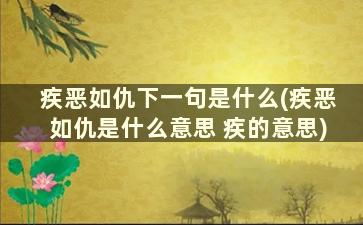 疾恶如仇下一句是什么(疾恶如仇是什么意思 疾的意思)